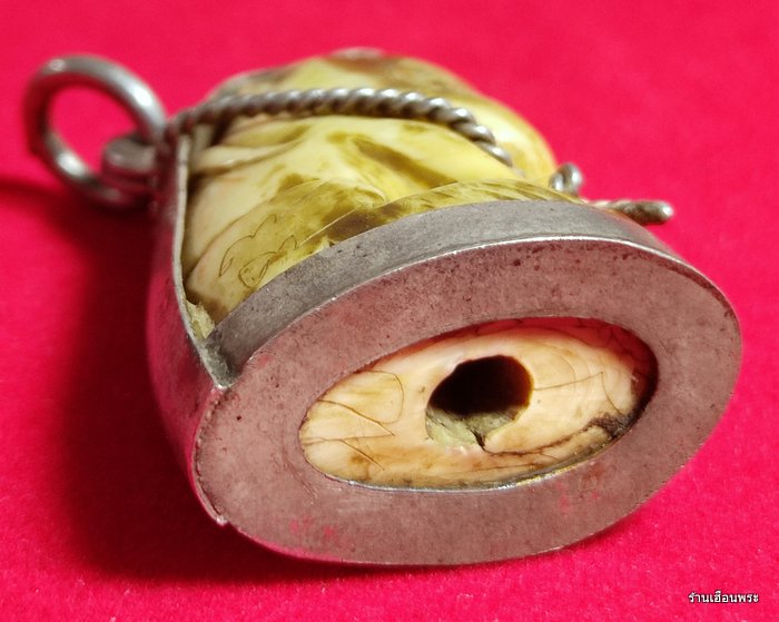 เขี้ยวเสือหลวงพ่อปาน วัดบางเหี้ย (คลองด่าน) พิมพ์อ้าปาก