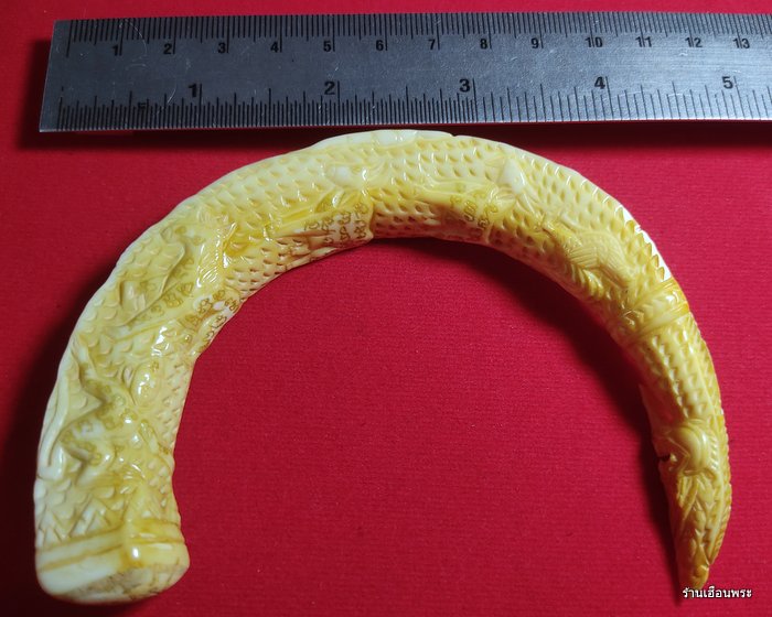 เขี้ยวหมูป่า แกะ12 นักษัตรปีเกิดเก่า