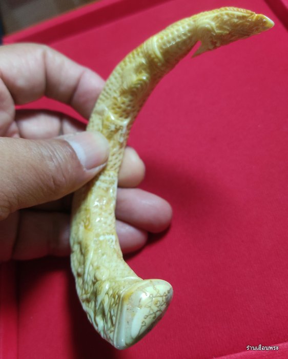 เขี้ยวหมูป่า แกะ12 นักษัตรปีเกิดเก่า