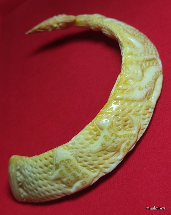 เขี้ยวหมูป่า แกะ12 นักษัตรปีเกิดเก่า