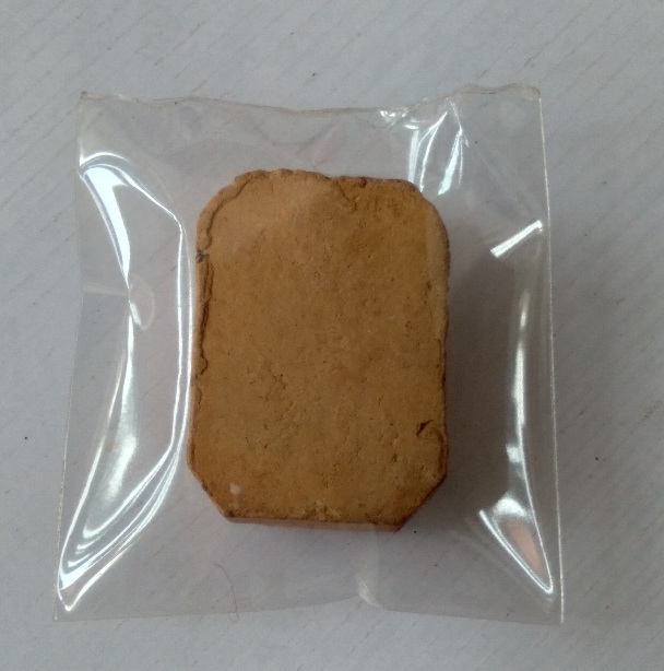 พระพิมพ์ขี่ปลา