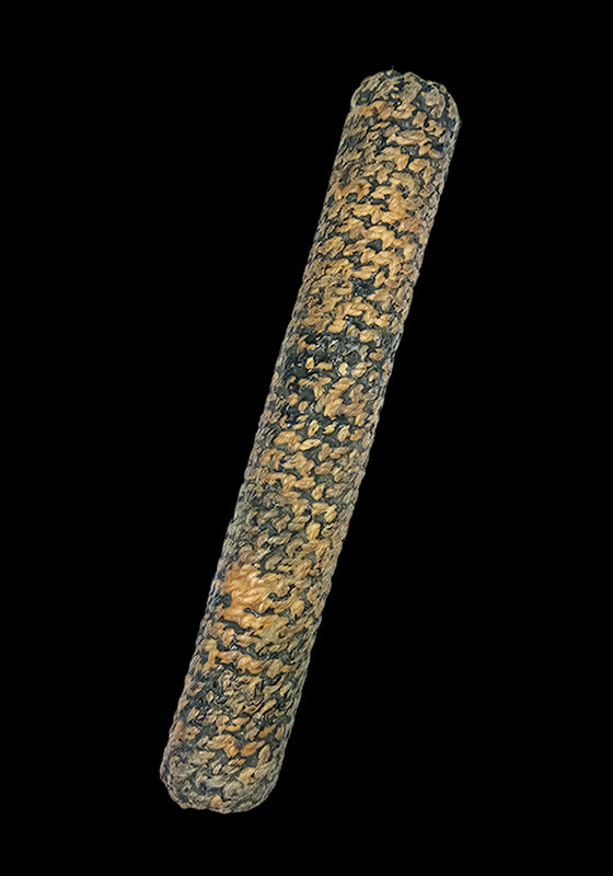 ตะกรุดโทน หลวงพ่อคำ ชาตสุโข วัดหัวทะเล จ.นครสวรรค์