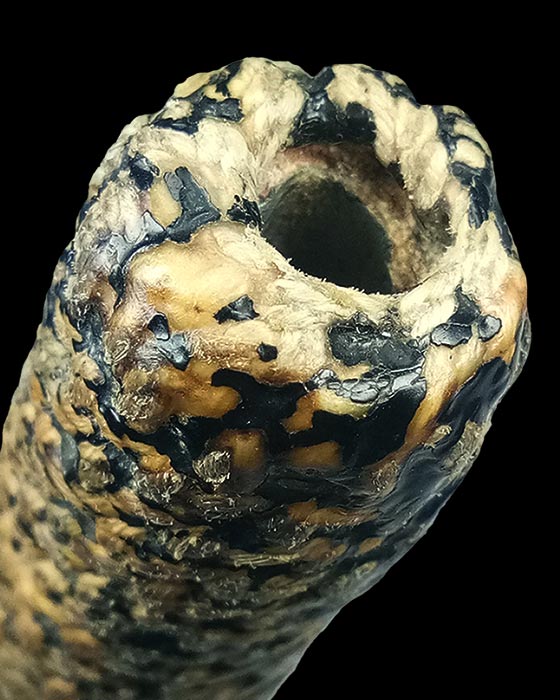 ตะกรุดโทน หลวงพ่อคำ ชาตสุโข วัดหัวทะเล จ.นครสวรรค์