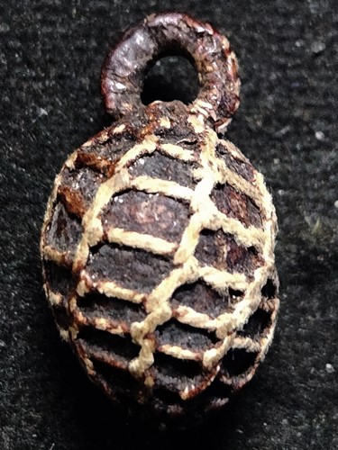 หมากทุย