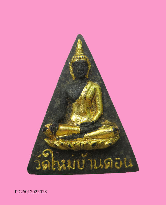 นางพญางิ้วดำ วัดใหม่บ้านดอน ปี 2517