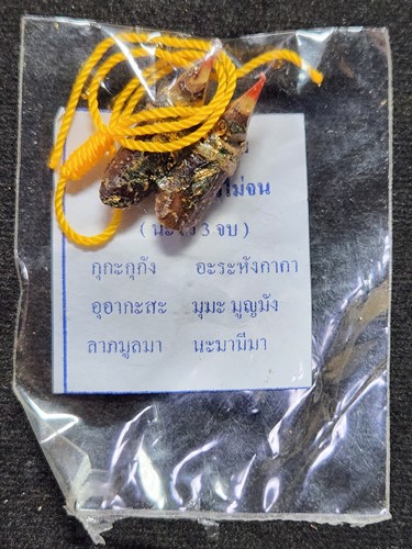 สาริกาลิ้นทอง ไม้กาฝาก