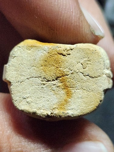 พระปิดตาตุ๊กตาเล็ก เนื้อผงเกสร ออกวัดศาลาครืน ปี ๒๕๒๑