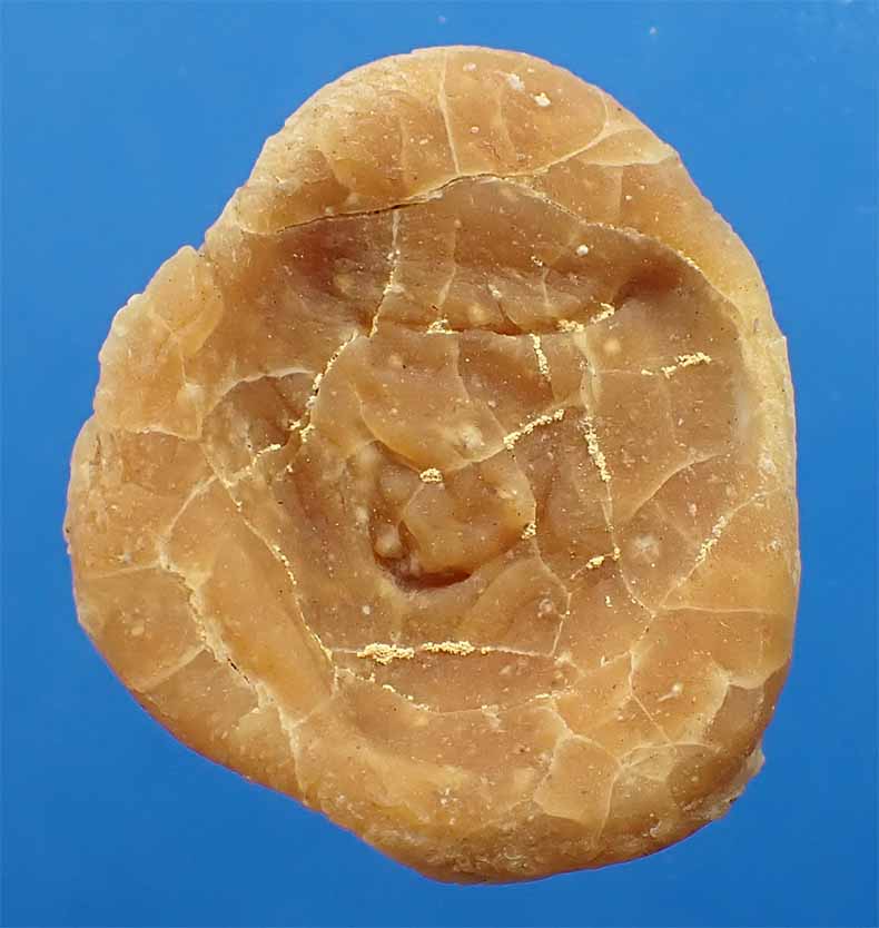 ขายขาดทุน!!!พระปิดตาฐานบัว วัดขวิด นนทบุรี พระอธิการรอด วัดขวิด+บัตรรับรองพระแท้*74