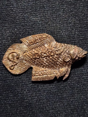 วัดโพธิ์ศรีเจริญ จ.สุพรรณบุรี  ปลากัดมหาลาภ หลวงพ่อน่วม  รุ่น 8 รอบอายุ 96 ปี   