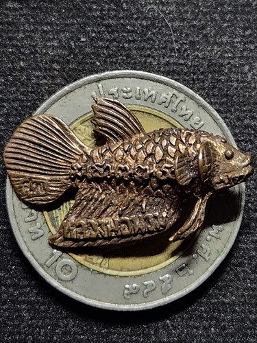 วัดโพธิ์ศรีเจริญ สุพรรณบุรี ปลากัดสารพัดนึก หลวงพ่อน่วม หล่อโลหะ รุ่น 2 ปี 2555 