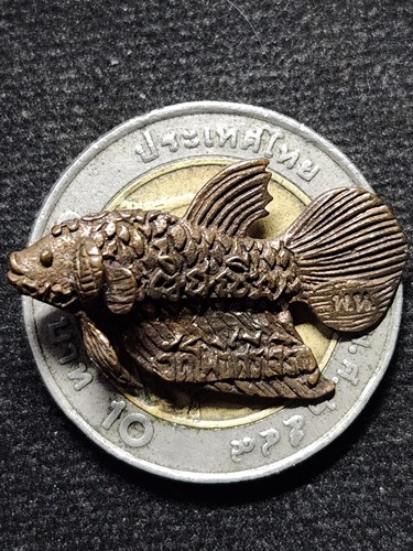 วัดโพธิ์ศรีเจริญ สุพรรณบุรี ปลากัดสารพัดนึก หลวงพ่อน่วม หล่อโลหะ รุ่น 2 ปี 2555 