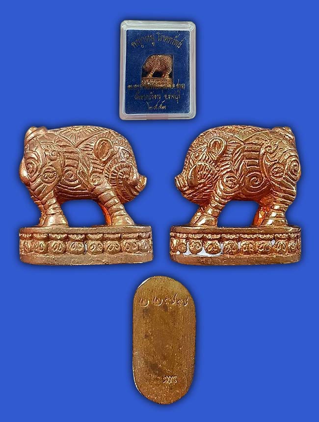 พญาหมู โภคทรัพย์ หลวงพ่อสอน วัดลาดบัวขาว ราชบุรี ปี 2553