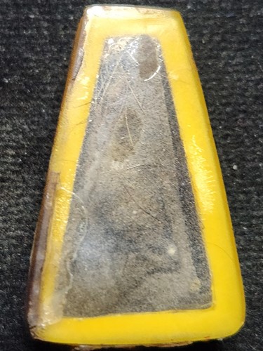 หนังหน้าผากเสือ