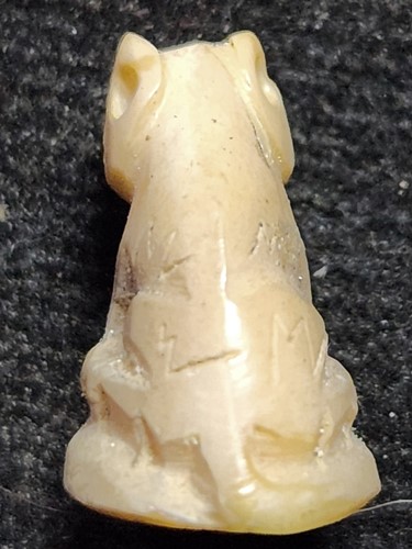 เสือสาริกาแกะจากปลายเขี้ยว