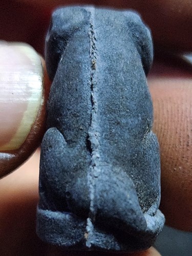  วัดปริวาส กทม เสือเขี้ยวดาบ  หลวงพ่อสมชาย ปี2551 เนื้อผง