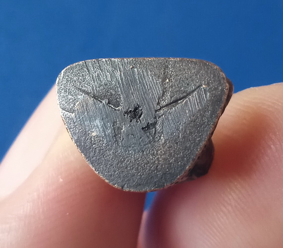 รูปหล่อ หลวงพ่อทองแถม วัดทองพุ่มพวง สระบุรี ปี2533