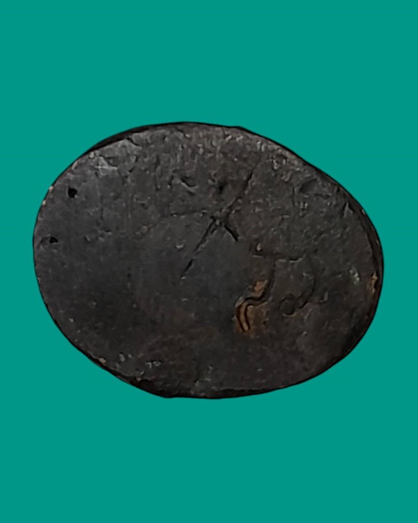 เสือหลวงพ่อปาน วัดคลองด่าน จ.สมุทรปราการ รุ่น ๑๐๑ ปี