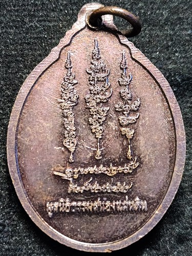 เหรียญเศียรปู่ฤาษี มูลนิธิธรรมสนองแผ่นดิน