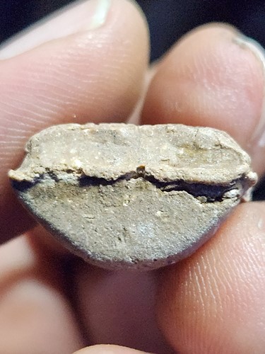 พระฤาษี เนื้อผง