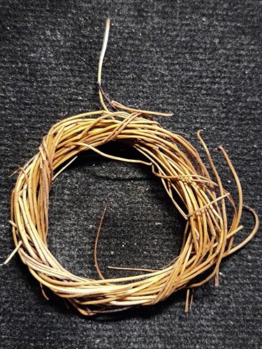 ว่านเครือสาวหลง