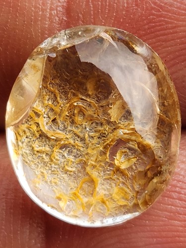 แก้วโป่งข่าม กาบทอง