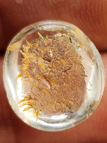 แก้วโป่งข่าม กาบทอง