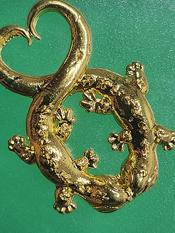 จิ้งจกคู่มหาเสน่ห์ หลวงปู่หน่าย วัดบ้านแจ้ง อยุธยา ปี 2567 เนื้อกะไหล่ทอง สายอยุธยา ต้องรู้จักนะครับ