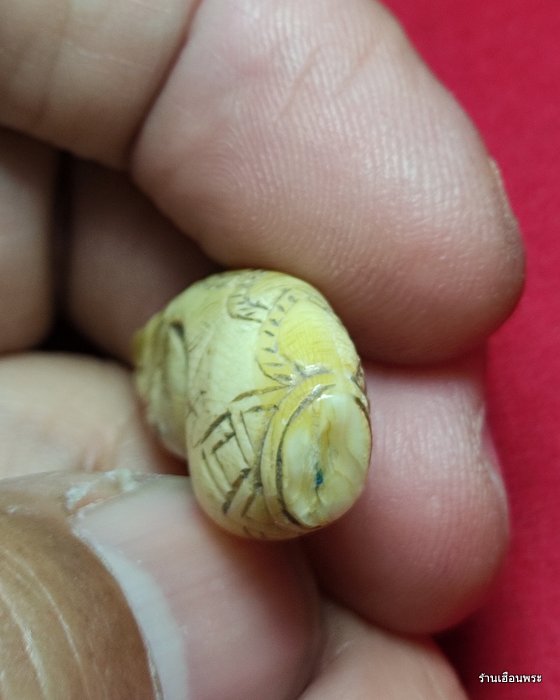 ม้าหมากรุก เขี้ยวแกะ ขนาดสูง 1 นิ้ว สวยเขี้ยวแกะเก่าฉ่ำ