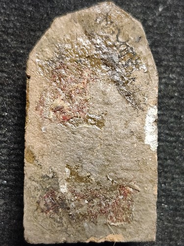 พระพิมพ์พระคง เนื้อดิน