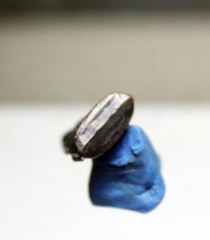 A978รูปหล่อหลวงปู่เอี่ยม วัดสะพานสูง จ.นนทบุรี เนื้อทองแดง สภาพสวยๆ