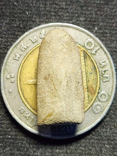 พระรอด เนื้อดิน