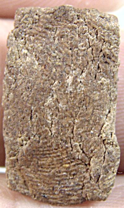 ๒๐ พระพุทธเนื้อผง เก่า