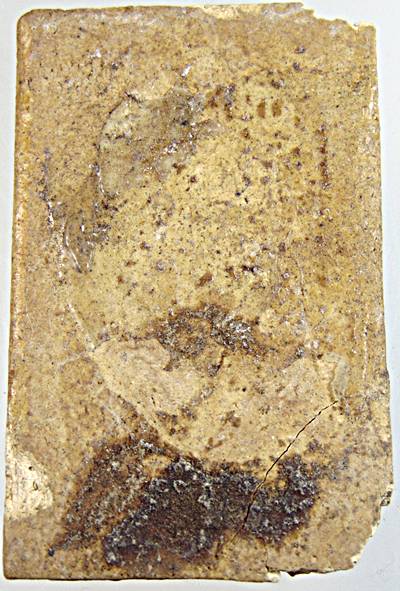 พระผงวัดเกาะกลอย จ.ระยอง ปี 2514 หลวงปู่ทิม วัดละหารไร่ ร่วมปลุกเสก