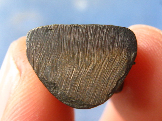 รูปหล่อ หลวงพ่อพล วัดบางเสร่ ชลบุรี