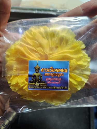 พุทธอุทยานเพชรบุระ เพชรบูรณ์ ดาวเรืองมงคลมหาพุทธบูชา พระพุทธมหาธรรมราชาเฉลิมพระเกียรติ 