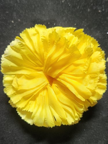 พุทธอุทยานเพชรบุระ เพชรบูรณ์ ดาวเรืองมงคลมหาพุทธบูชา พระพุทธมหาธรรมราชาเฉลิมพระเกียรติ 