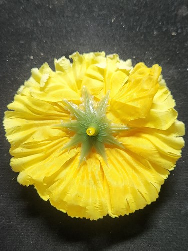 พุทธอุทยานเพชรบุระ เพชรบูรณ์ ดาวเรืองมงคลมหาพุทธบูชา พระพุทธมหาธรรมราชาเฉลิมพระเกียรติ 