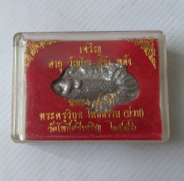 ปลากัดหลวงพ่อน่วม วัดโพธิ์ศรีเจริญ รุ่นฉลองอายุ94ปี