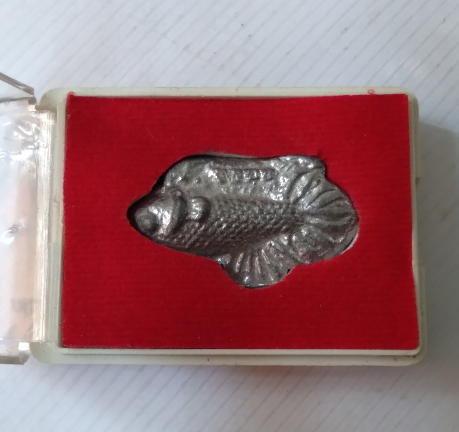 ปลากัดหลวงพ่อน่วม วัดโพธิ์ศรีเจริญ รุ่นฉลองอายุ94ปี