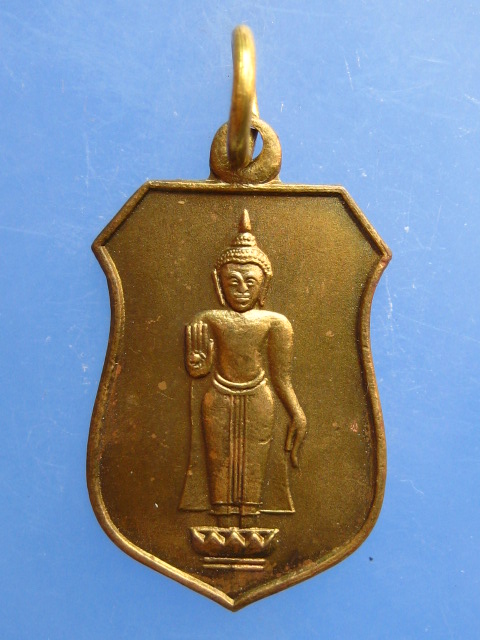 เหรียญหลวงพ่อธรรมจักร จ.ชัยนาท