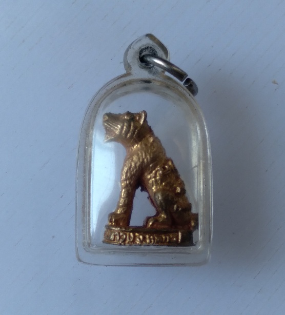 เสือหลวงพ่อบุญมี วัดเขาสมอคอน จ.ลพยุรี