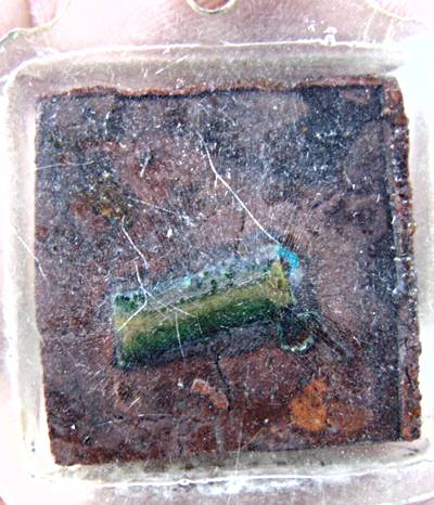 คชสิงห์ เนื้อผง ฝังตะกรุด เลี่ยมเก่า