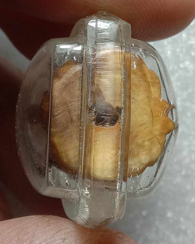 เขี้ยวแกะ พระพิฆเนศร์ เลี่ยมกันน้ำ