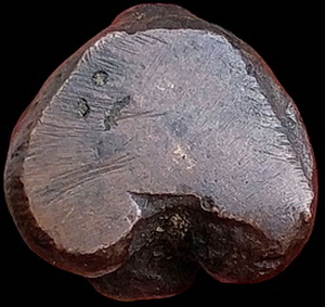 *พระปิดตาอาจารย์สีแก้ว กุลคุโณ วัดไทรใหญ่ สงขลา เนื้อทองแดงเถื่อน พ.ศ.๒๔๘๕*