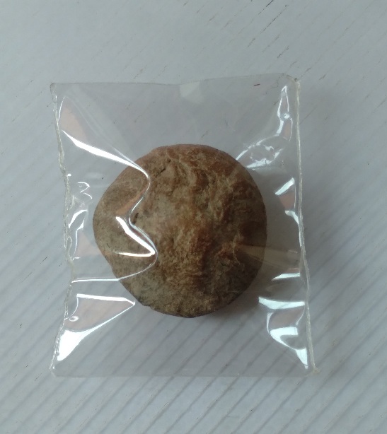 พระดินเผาไม่ทราบที่