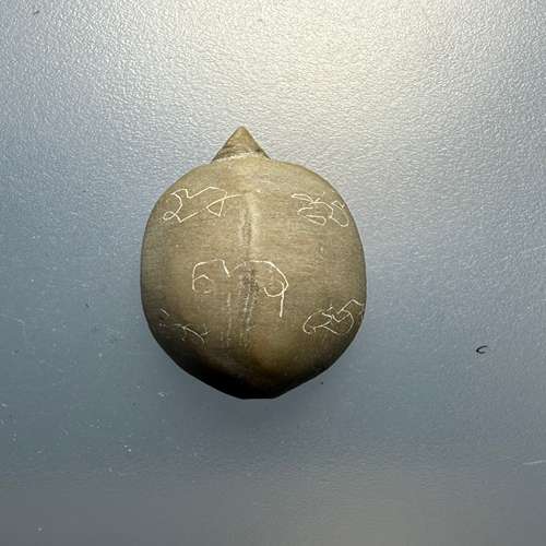 พญาเต่าเรือน เนื้อหินแกะ หลวงพ่อสนิท วัดลำบัวลอย