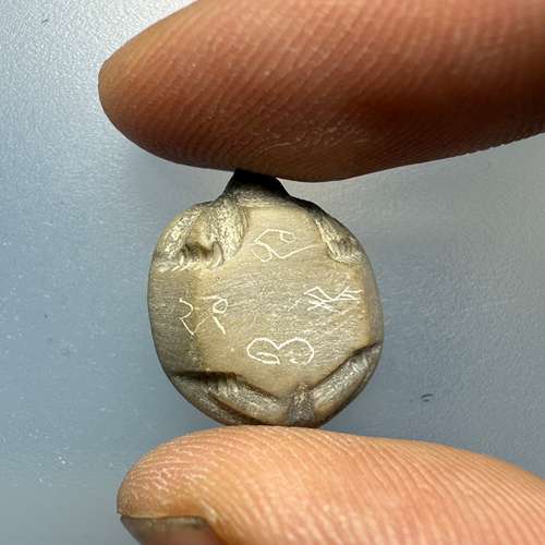 พญาเต่าเรือน เนื้อหินแกะ หลวงพ่อสนิท วัดลำบัวลอย