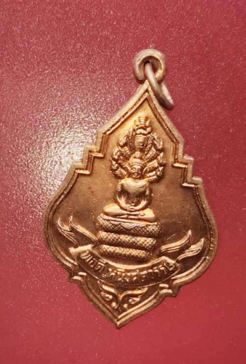 เหรียญหลวงปู่บุดดา วัดกลางชูศรีเจริญสุข 