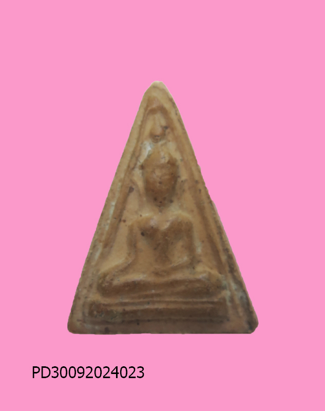 นางพญา เนื้อดิน