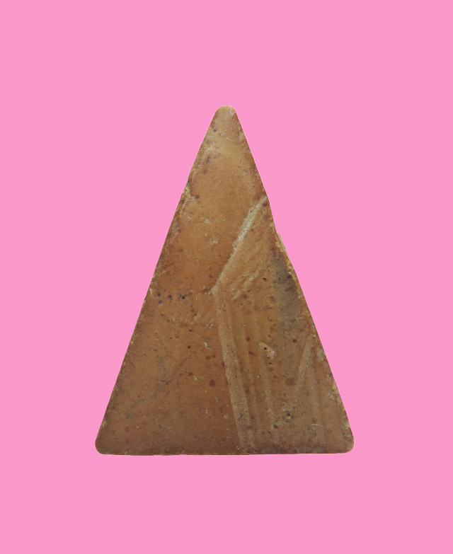 นางพญา เนื้อดิน